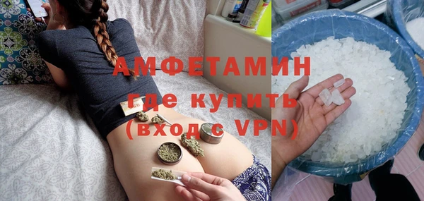 гидра Бородино