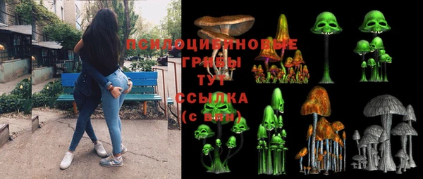ПСИЛОЦИБИНОВЫЕ ГРИБЫ Верея