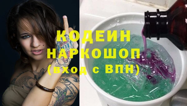 гидра Бородино