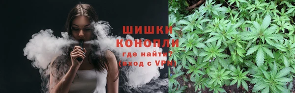 гидра Бородино