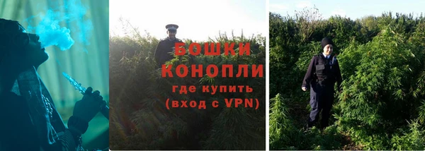 гидра Бородино